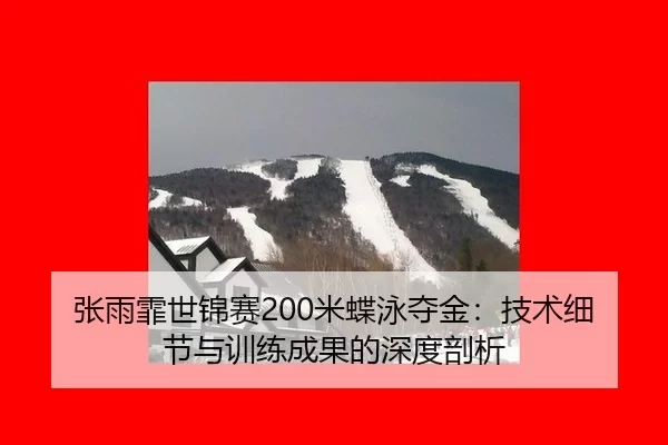 zhang-yu-fei-shi-jin-sai-mi-die-yong-duo-jin-ji-shu-xi-jie-yu-xun-lian-cheng-guo-de-shen-du-pou-xi-2-650.jpg