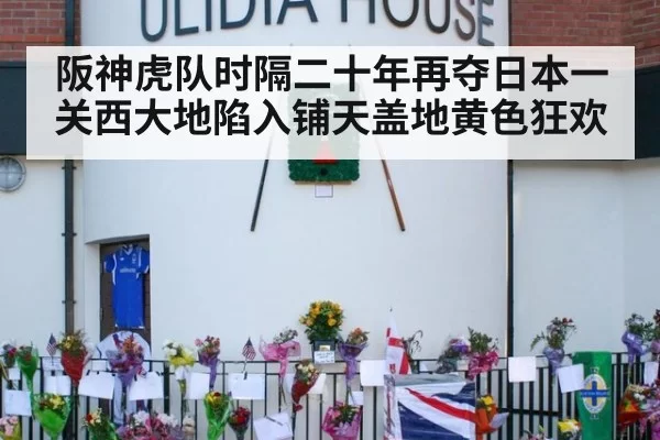 阪神虎队时隔二十年再夺日本一关西大地陷入铺天盖地黄色狂欢