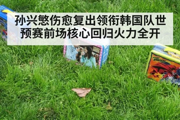 孙兴慜伤愈复出领衔韩国队世预赛前场核心回归火力全开